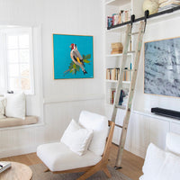 'Goldfinch' (76cm x 76cm) - SOLD